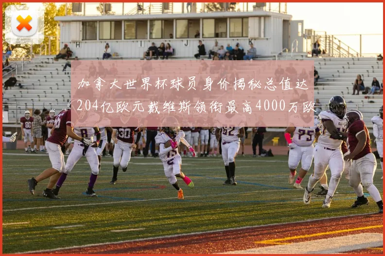 加拿大世界杯球员身价揭秘总值达204亿欧元戴维斯领衔最高4000万欧