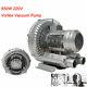 550w Air Vacuum Pump Vortex Fan High Pressure 20kpa 220v 1 Phase Dry Air Blower