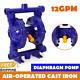 Air-operated Double Diaphragm Pump Inlet & Outlet Petroleum Fluids 12gpm 1/2